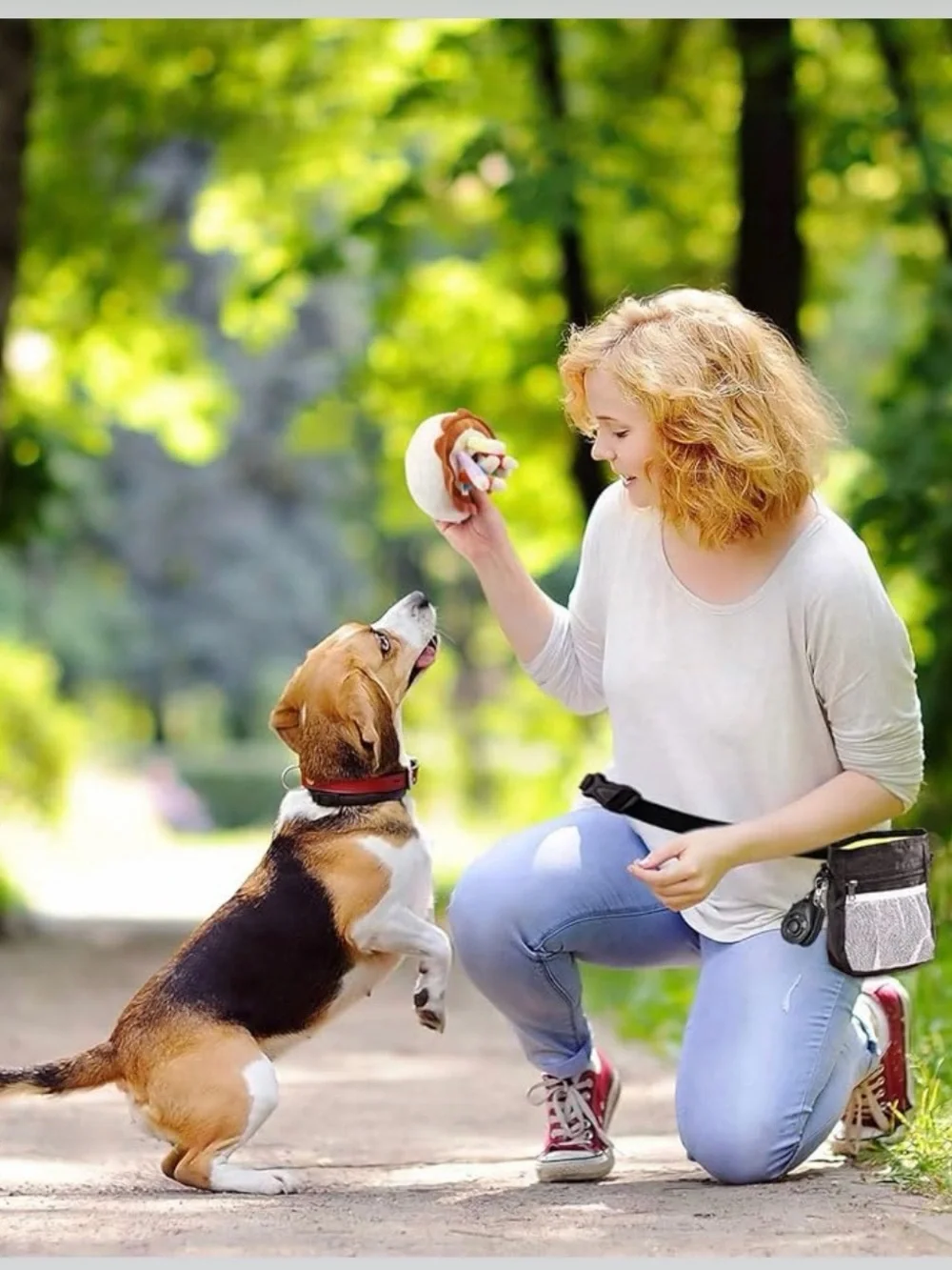 Dog Training pouch with 2 clickers. New in Package